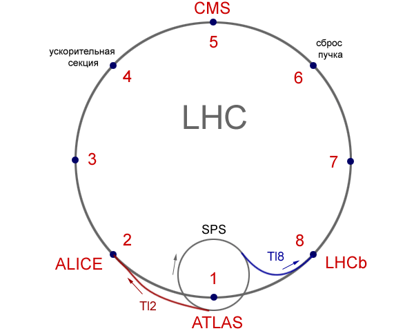 Общий план кольца LHC с предварительным ускорителем SPS. Стрелками показано направление движения протонов. (Рисунок автора новости)