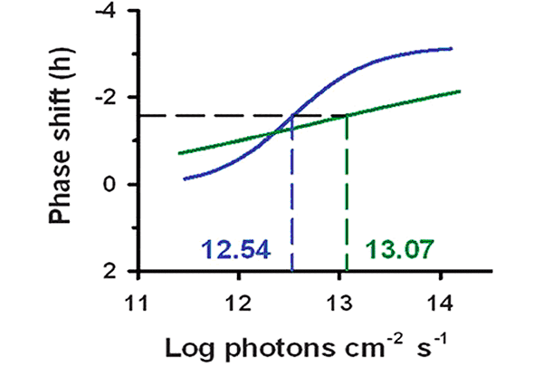 График зависимости фазового сдвига от дозы полученного света. Доза света измеряется в десятичном логарифме количества фотонов, попавших на единицу площади за единицу времени (13 lg фотонов см–2·с–1 ~24 люкса для 555-нанометрового света и ~2 люкса для 460-нанометрового), а сдвиг суточных ритмов — в часах. Горизонтальный черный пунктир показывает половину от максимального сдвига суточного ритма, а цветные вертикальные пунктирные линии — соответствующие этому сдвигу значения дозы света. Изображение из обсуждаемой статьи в Science Translational Medicine